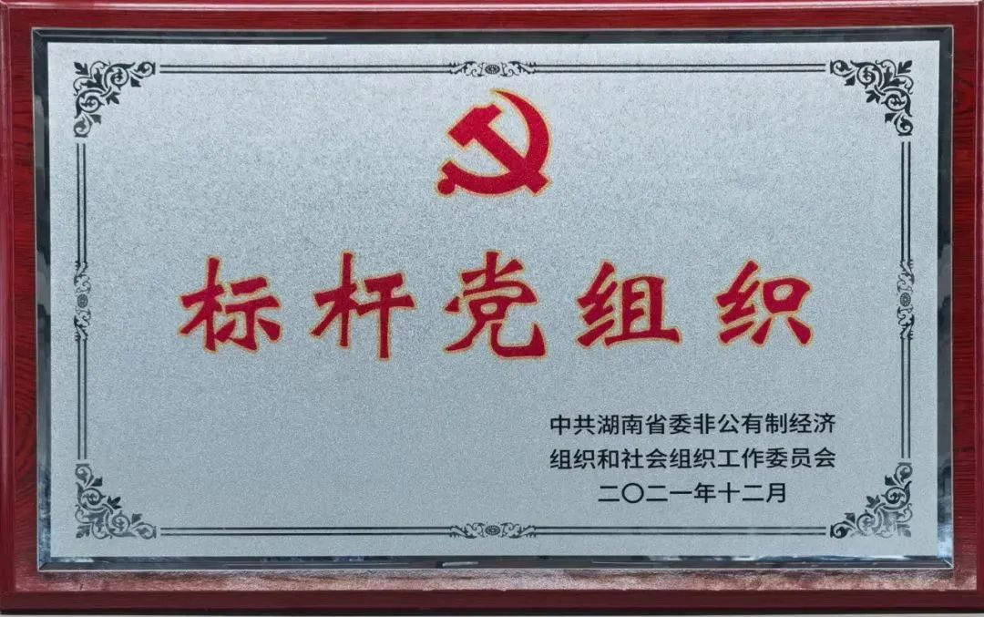 党建品牌亮起来！三亿·体育-三亿（中国）一站式服务官方网站
智能党委获评“标杆党组织”