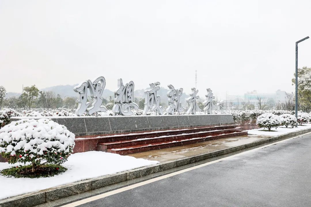 瑞雪兆丰年，邀您共赏雪中三亿·体育-三亿（中国）一站式服务官方网站
！