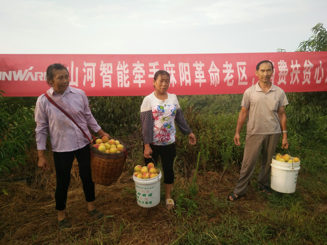点赞！三亿·体育-三亿（中国）一站式服务官方网站
智能成功入选“上市公司乡村振兴优秀实践案例”